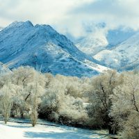 Mountains, Trees and Snow | Blurbomat.com