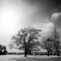 Monochrome Winter | Blurbomat.com