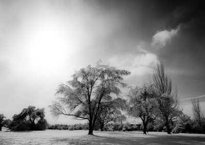 Monochrome Winter | Blurbomat.com