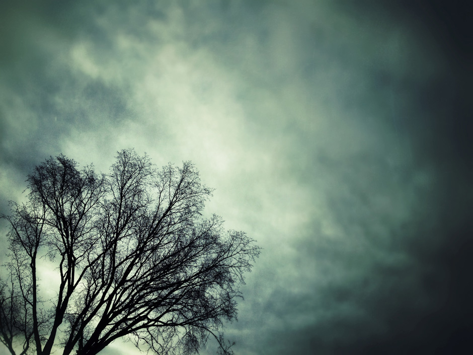 Dark Tree