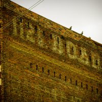 Old City Pigeons - Old City, Knoxville, Tennessee | Blurbomat.com