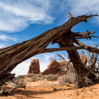Weathered and Winded - Arches National Park | Blurbomat.com