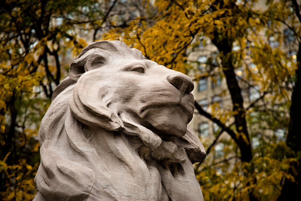 New York City Public Library Lion – Fortitude? Patience?