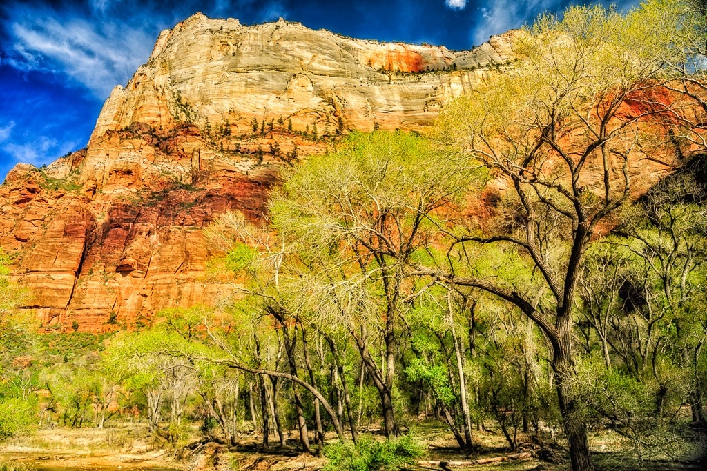 Zion Canyon, Floor to Ceiling