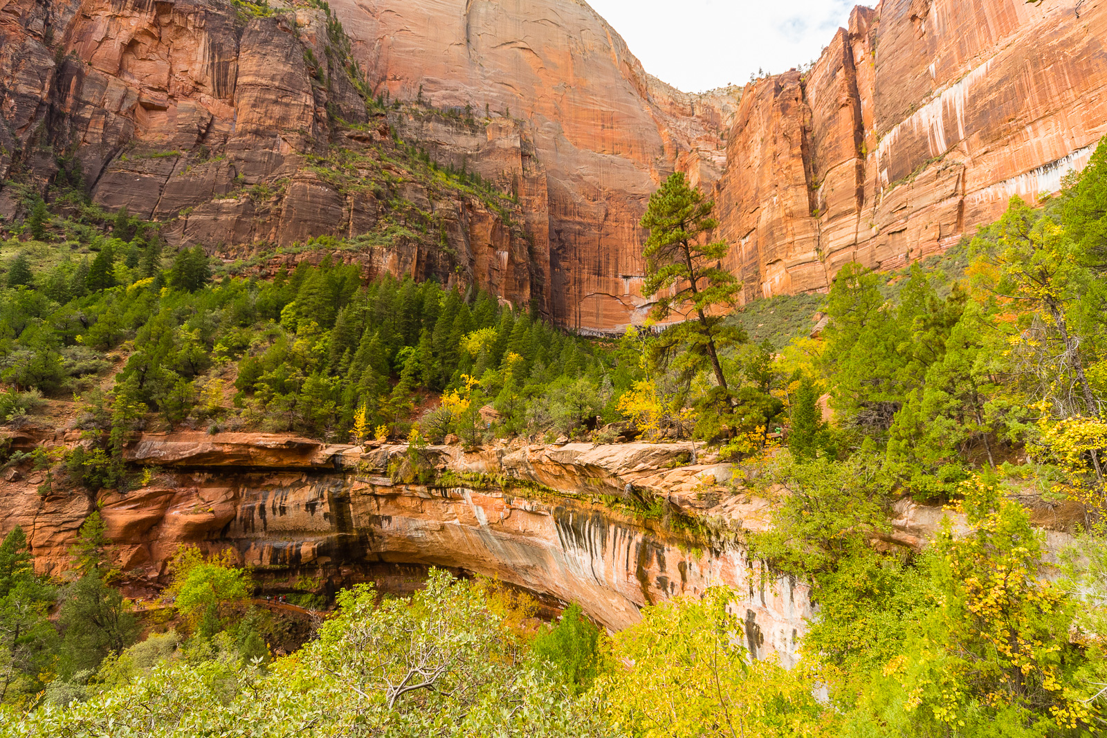 Look toward the middle Emerald Pool, Zion National Park, October, 2014.