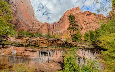 Zion National Park Photo Gallery
