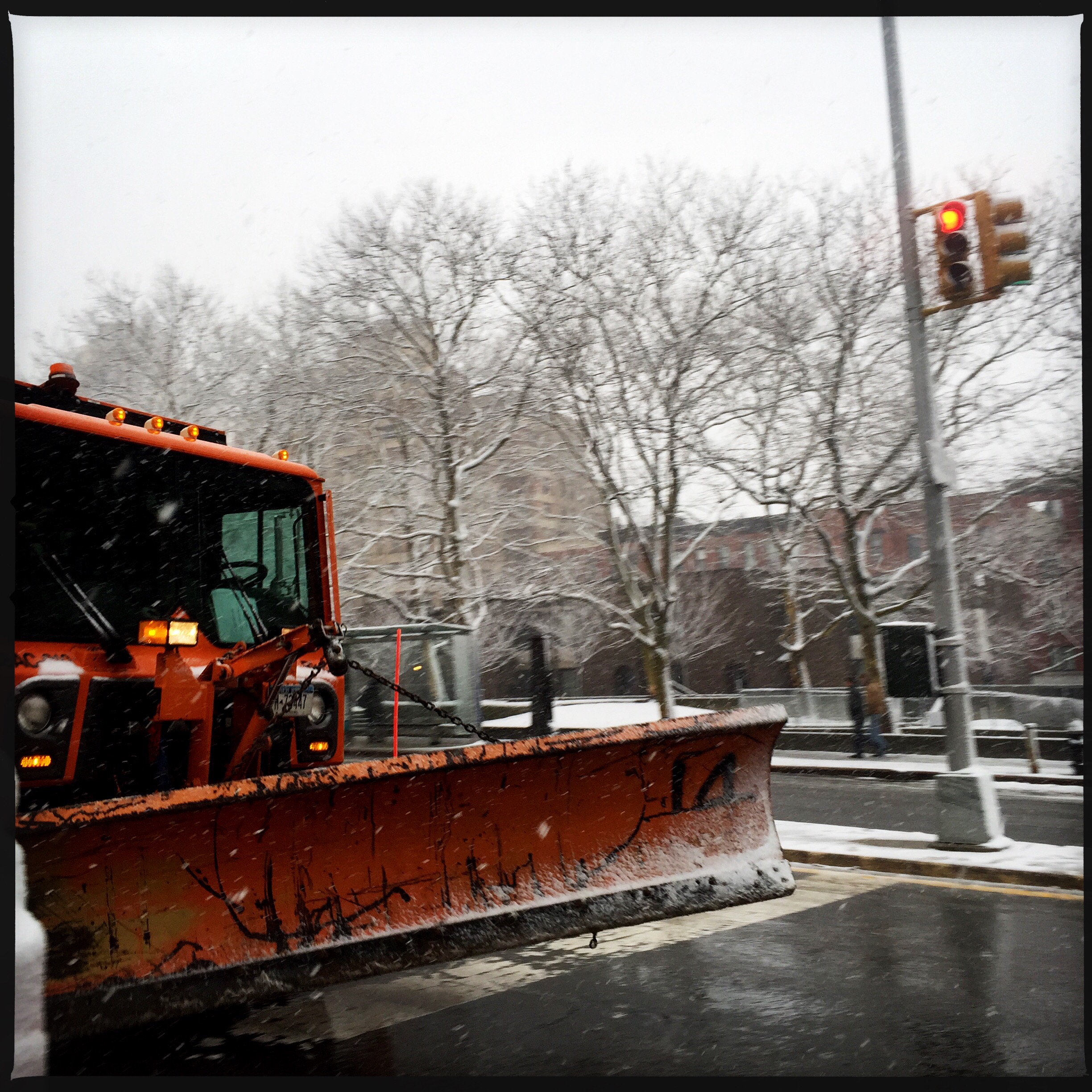 First day of spring 2015 in Brooklyn
