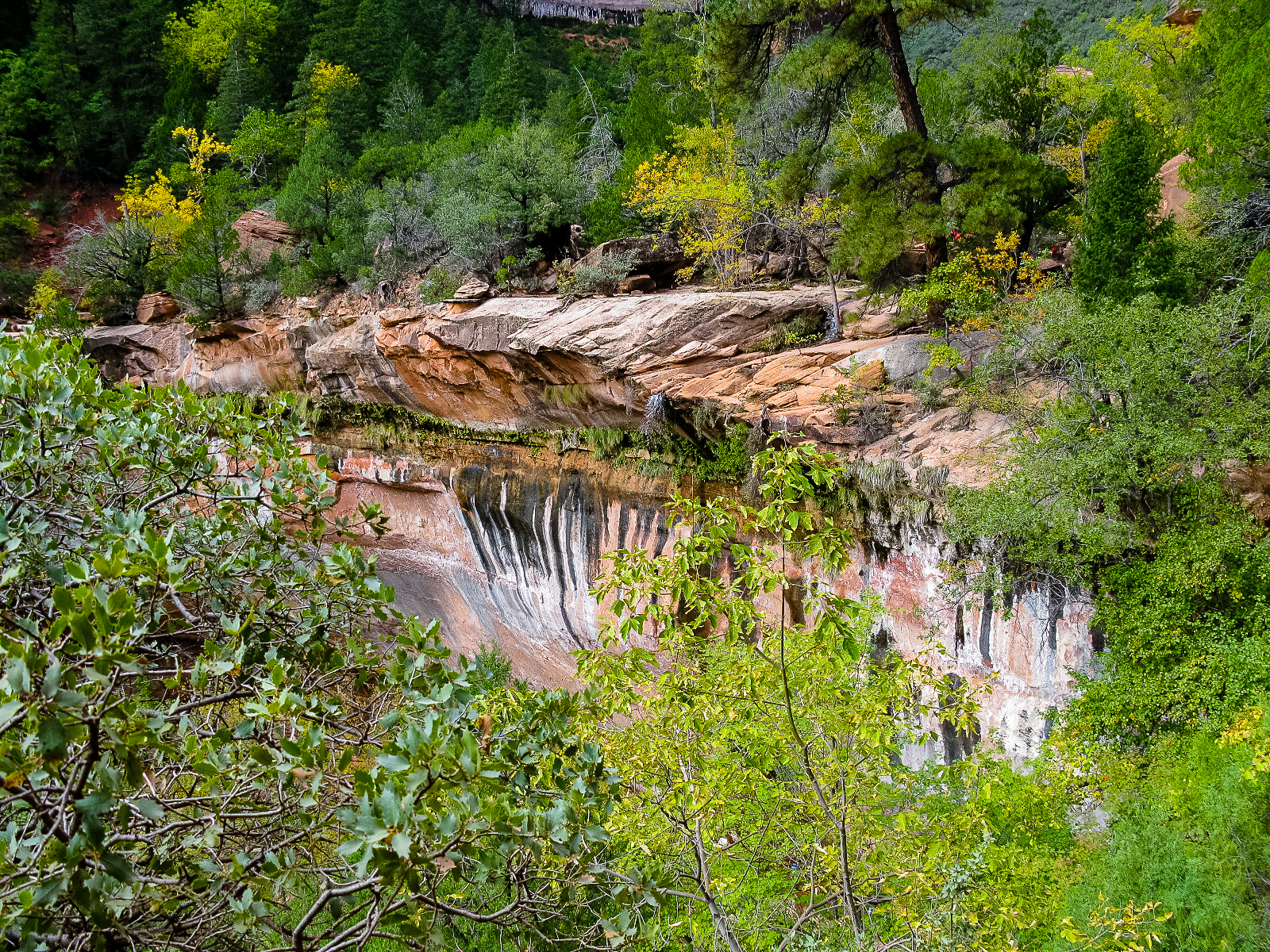 Zion Emerald Pools Hike: Marlo Took This 2
