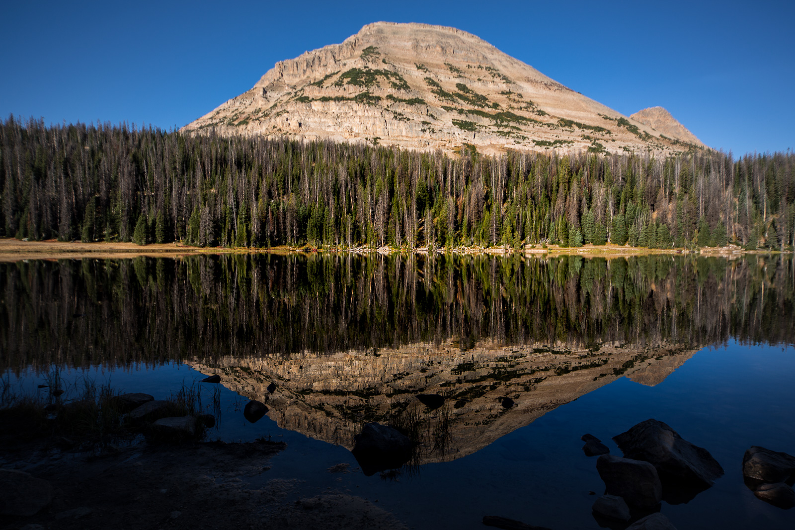 Bald Mountain Reflected in Mirror Lake