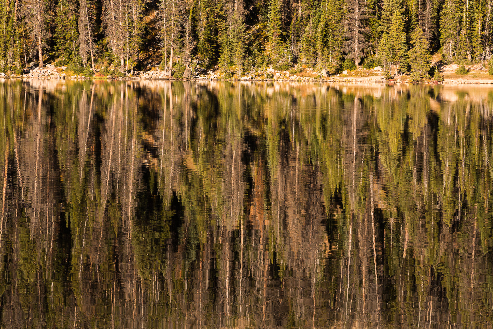 Mirror Lake Reflection II
