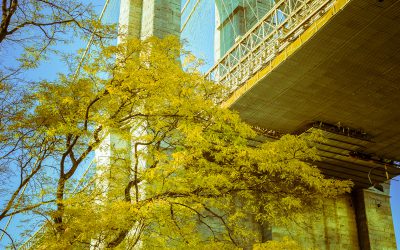 Golden Brooklyn Bridge