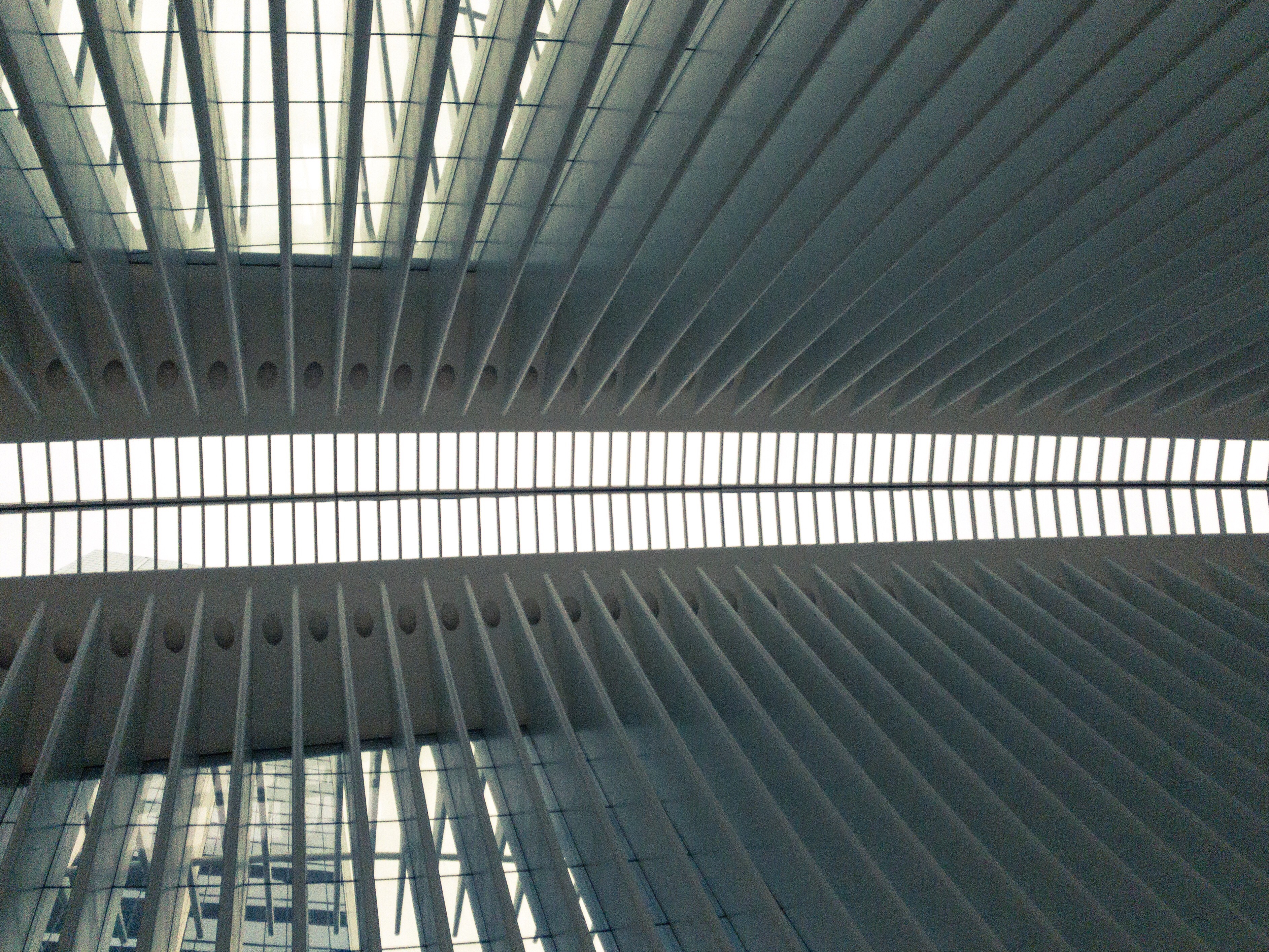 The Oculus at WTC has a rib cage